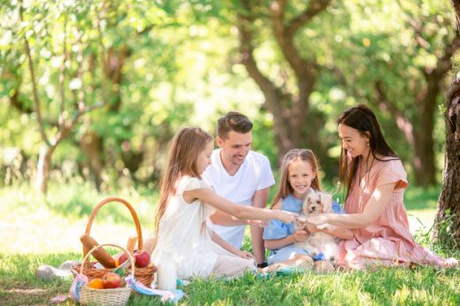 Simple and Quick Food To Cook and Carry For Picnic