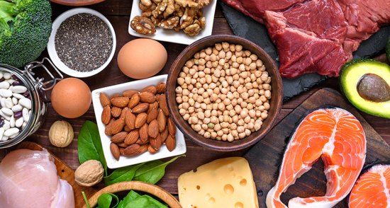 proteins facts