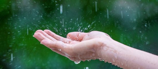 The Rainy Seasonal Foods