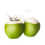 Elaneer Payasam