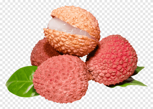 The litchi fruit