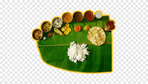 The South Indian Meal