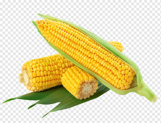 The Sweet Corn